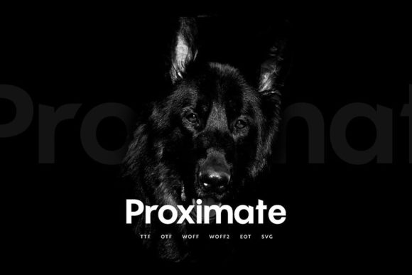 Proximate: A Modern Display Font for Bold Branding