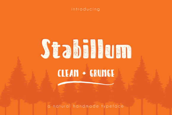 Stabillum: A Chunky Display Font for Editorial Joy